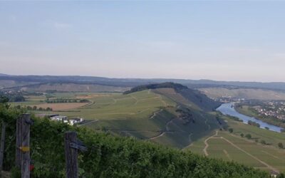4. September 2026: Wanderung in die Moselsteilhänge